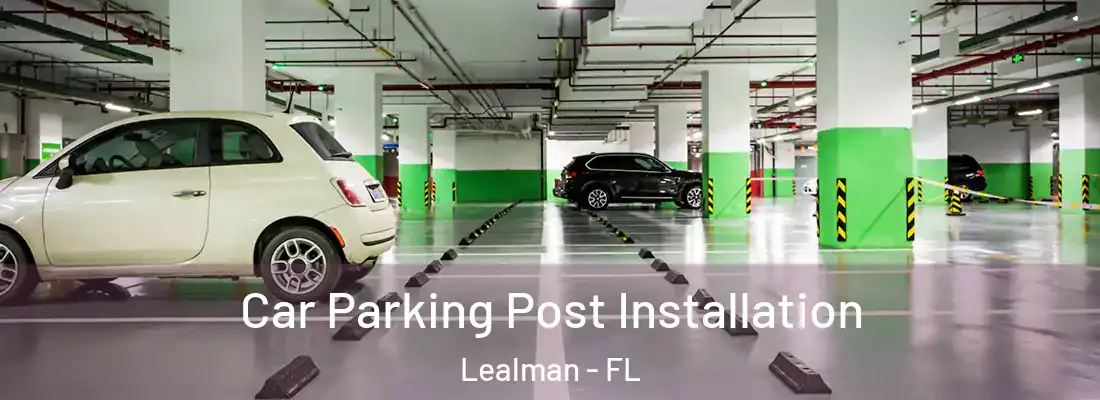  Car Parking Post Installation Lealman - FL