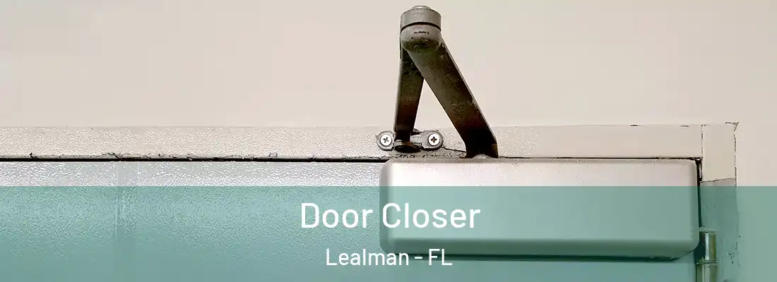  Door Closer Lealman - FL