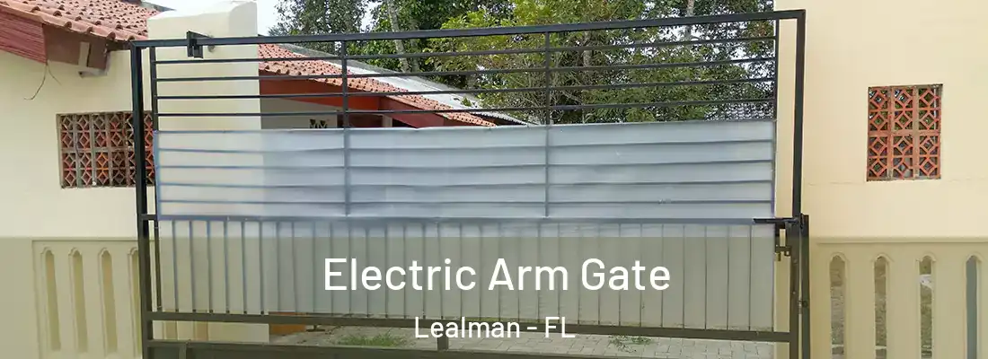  Electric Arm Gate Lealman - FL