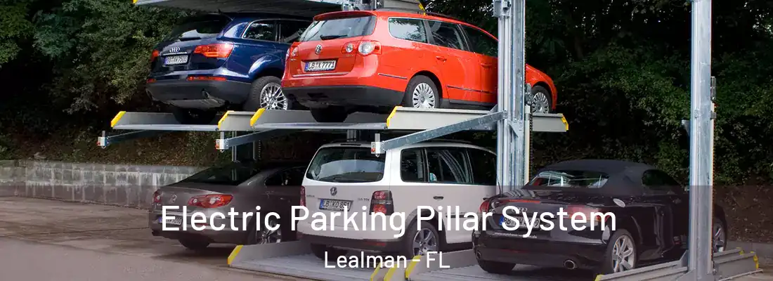  Electric Parking Pillar System Lealman - FL