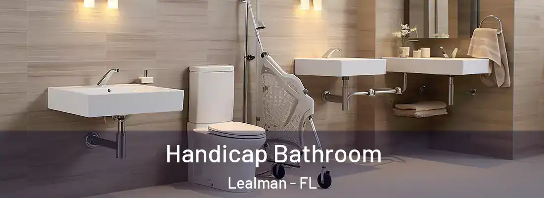  Handicap Bathroom Lealman - FL