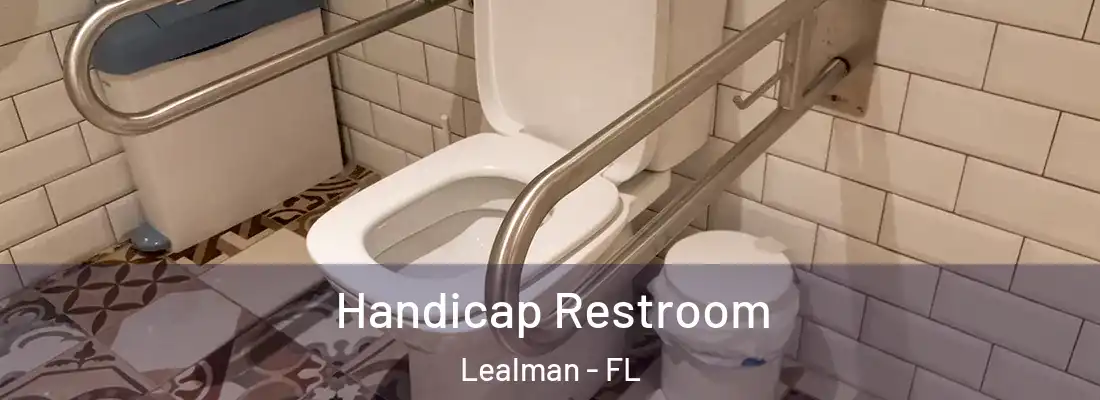  Handicap Restroom Lealman - FL