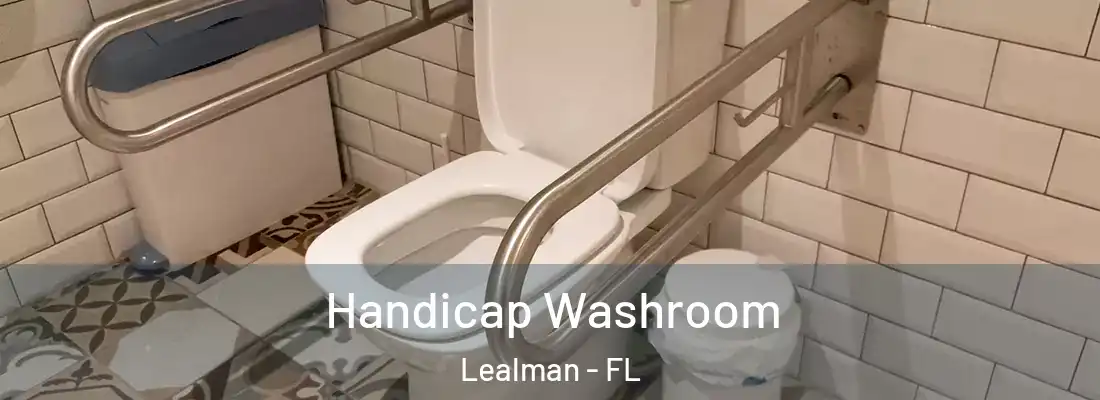  Handicap Washroom Lealman - FL