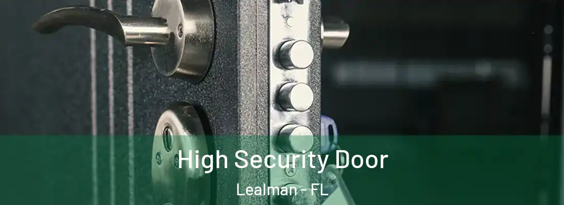  High Security Door Lealman - FL