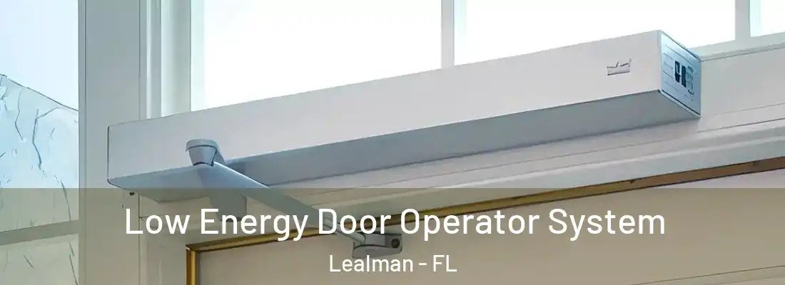  Low Energy Door Operator System Lealman - FL