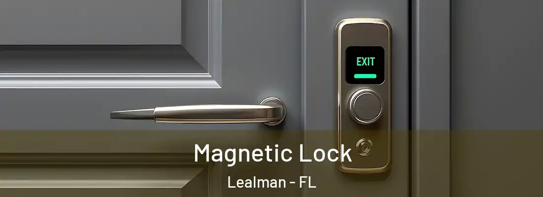  Magnetic Lock Lealman - FL